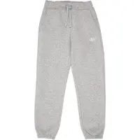 Under Armour Pantalon de sport 'RIVAL FLEECE' gris
