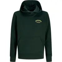 JACK&JONES JUNIOR Junior Sweat 'JJEBrandes' jaune / vert foncé