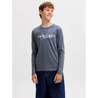 Jack & jones Junior T-Shirt 'JJTom' bleu clair / gris basalte / orange / blanc