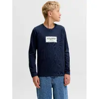 JACK&JONES JUNIOR Junior T-Shirt 'JORFrederiksberg' bleu clair / bleu foncé / blanc