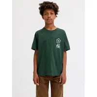 Jack & Jones Junior T-Shirt 'JJDYLAN' vert foncé / blanc
