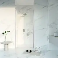 FortiFura Galeria Porte de douche - 100x200 - Profil - verre de sécurité - anticalcaire - Acier inoxydable brossé PVD (acier inoxydable) SW1122492