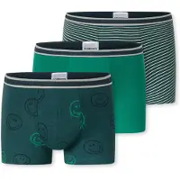 Schiesser Sous-vêtements ' 95/5 Multi ' vert