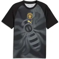 Puma Manchester City Fc 26/27 Warm Up Pre Match Short Sleeve T-shirt Gris S Homme