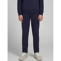 JJ REBEL Pantalon 'JREBCREST' bleu marine