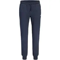 Jack & jones Plus Pantalon 'JPSTGORDON' marine / blanc