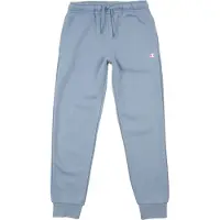 Champion Pantalon bleu-gris