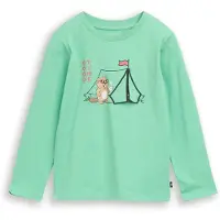 Tom Tailor T-Shirt marron / vert / rouge / noir