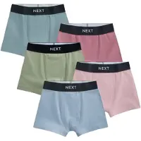 Next Sous-vêtements bleu clair / vert pastel / rose / rose ancienne