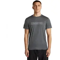 Icebreaker 150 Tech Lite Ibcoordinates Short Sleeve T-shirt Gris S Homme
