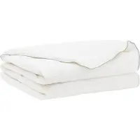 vidaXL Couverture de lit FULDA, 220 x 260 cm, modèle été, 100 GSM, 90 % duvet de canard