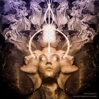 Ginza.se Mr Bison - Echoes From The Universe [Vinyl Lp] Black, Pink, White