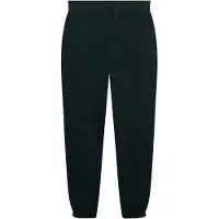 Superdry Essential Company Logo Joggers Vert XL Homme