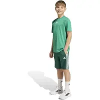 Adidas Train Essentials 3 Stripes Tee Kids Set Vert 5-6 Years Enfants