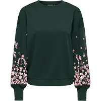 ONLY Sweat-shirt 'ONLBrooke' vert foncé / rose / rose pastel / bourgogne