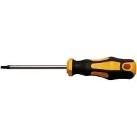 Bgs Tournevis profil en T (pour Torx) T25 longueur de la lame 100 mm (TX)