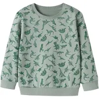 Name it Sweat 'NMMVIFelix' vert / menthe