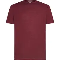 Icebreaker Merino 150 Tech Lite Iii Short Sleeve T-shirt Rouge S Homme