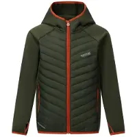 Regatta Andreson Jacket Vert 14 Years Enfants