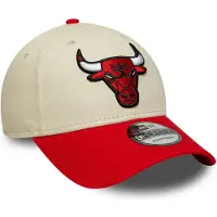 New Era Casquette Nba Colourblock 9forty Chicago Bulls