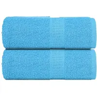 vidaXL Serviettes de toilette 2 pièces FROGN Turquoise 30 x 30 cm 100 % coton