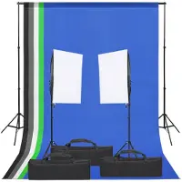 vidaXL Kit de studio photo avec éclairage et toile de fond