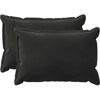 vidaXL Housse De Coussin 2 Pcs Houten Noir 50 X 75 Cm Velours