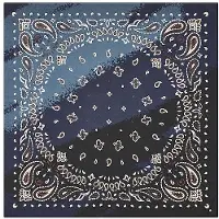 Codello Foulard bleu / mélange de couleurs