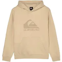 Quiksilver Comp Logo Hoodie Beige 14 Years Garçon