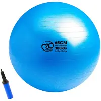 Fitness-Mad Fitball 300kg Anti-burst Swiss