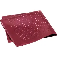 Hackett London Hm0100066 Handkerchief Rouge Homme
