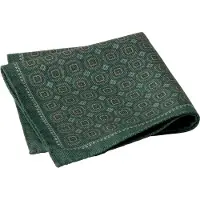 Hackett London Hm0100063 Handkerchief Vert Homme