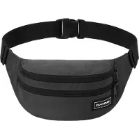 Dakine Classic T2-r Waist Bag Noir