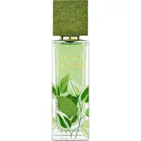 Armaf Infusion EDP, 80 ml, parfum unisexe