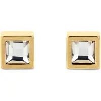 Calvin Klein Essential Links Earrings Doré Homme