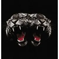 Warner Music CD de - Dead Company - pour Indifférent - Standard - Taille Standard