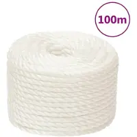 vidaXL Corde de travail Blanc 20 mm 100 m polypropylène