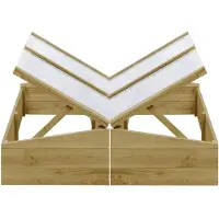 vidaXL Serres 2 pcs. Bois de pin imprégné 100x50x35 cm