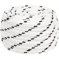 vidaXL Corde de bateau tressé Blanc 20 mmx100 m Polyester
