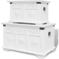 vidaXL Ensemble de deux coffres de rangement Blanc