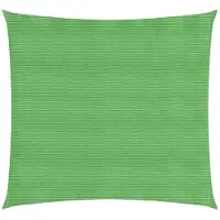 vidaXL Voile d'ombrage 160 g/m² vert clair 4x4 m HDPE