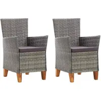 vidaXL Chaises de jardin lot de 2 avec coussins Résine tressée Gris46003