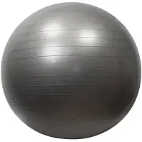Sporti France Fitball Gym 75 Cm