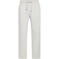 Blend Pantalon 'BHDOWNTON' gris