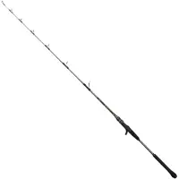 Penn Regiment Iv Jigging Rod Argenté 1.68 m / 400 g