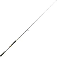 Cinnetic Canne Jigging Rayforce Solid