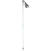 Kästle Mogul Ca Uncut Poles Argenté 95 cm