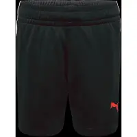 Puma Short Individualliga Training