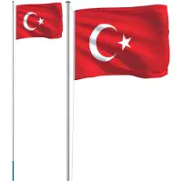 vidaXL Drapeau de la Turquie et mât 6,23 m Aluminium