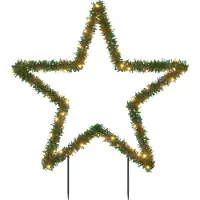 vidaXL Décoration lumineuse étoile de Noël avec piquets 80 LED 60 cm
